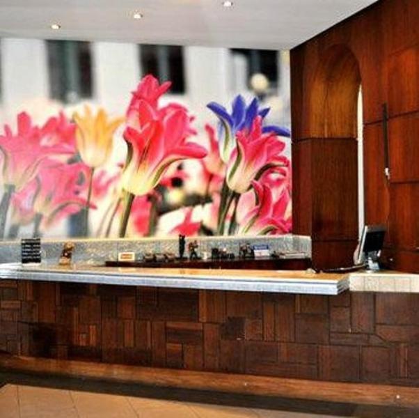 Feira Plaza Hotel Фейра ди Сантана Екстериор снимка